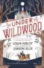 Under Wildwood - Colin Meloy