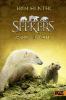 Seekers 10. Wald der Wölfe - Erin Hunter