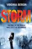The Storm - Virginia Bergin