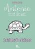 Antonia rettet die Welt - Schildkrötenküsse - Band 2 - Katrin Zipse