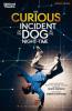 The Curious Incident of the Dog in the Night-Time - Simon Stephens