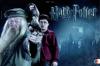 Harry Potter Broschur XL 2014 - Joanne K. Rowling