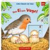 Kleine Wunder der Natur: Vom Ei zum Vogel - 