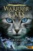 Warrior Cats - Vision von Schatten. Donner und Schatten - Erin Hunter