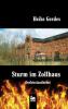Sturm im Zollhaus: Ostfrieslandkrimi - Heike Gerdes