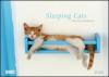 Sleeping Cats 2020 - Wandkalender - Format 29,5 x 42 cm - 