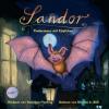 Sandor, Fledermaus mit Köpfchen, 1 Audio-CD - Dorothea Flechsig