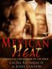 Mexican Heat - Laura Baumbach, Josh Lanyon