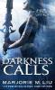 Darkness Calls. In den Armen der Finsternis, englische Ausgabe - Marjorie M. Liu