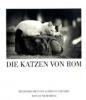 Die Katzen von Rom - Albrecht Schnabel