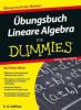 Übungsbuch Lineare Algebra für Dummies - E. -G. Haffner