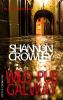 Wild Pub Galway - Shannon Crowley