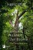 Die spirituelle Weisheit der Bäume - Pierre Stutz