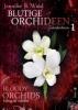 Blutige Orchideen 1 - dendrobium (Bloody Orchids) - Jennifer B. Wind