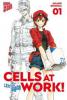 Cells at Work! 1 - Akane Shimizu
