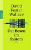 Der Besen im System - David Foster Wallace