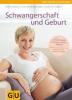 Schwangerschaft und Geburt - Thomas Villinger, Birgit Sesterhenn-Gebauer