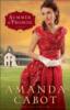 Summer of Promise (Westward Winds Book #1) - Amanda Cabot