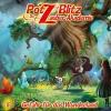 Potz Blitz - Die Zauber-Akademie - Gefahr für das Wunderland, 1 Audio-CD - Christoph Piasecki