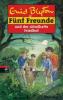 Fünf Freunde und der rätselhafte Friedhof - Enid Blyton