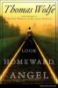 Look Homeward, Angel - Thomas Wolfe