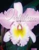 Orchideen - Marcel Lecouflle