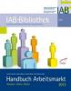 Handbuch Arbeitsmarkt 2013, m. CD-ROM - 