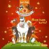 Die Haferhorde - Hopp, hopp, hurra!, 2 Audio-CDs - Suza Kolb