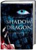 Shadow Dragon. Die falsche Prinzessin - Kristin Briana Otts