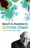 Schönes Chaos - Benoît B. Mandelbrot