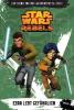 STAR WARS Rebels (Episodenroman zur TV­-Serie), Band 3 - Michael Kogge
