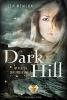 Dark Hill. Im Herzen der Anderswelt - Lea McMoon