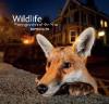 Wildlife Photographer of the Year: Portfolio 26 - Rosamund Kidman Cox