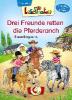 Lesepiraten - Drei Freunde retten die Pferderanch - Emma Bergmann