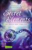 Secret Elements 3: Im Auge des Orkans - Johanna Danninger