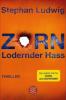 Zorn - Lodernder Hass - Stephan Ludwig