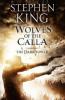 The Dark Tower 5. The Wolves of Calla - Stephen King