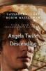 Angels Twice Descending - Robin Wasserman