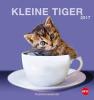Katzen Postkartenkalender 2017 - 