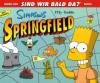 Simpsons City Guide Springfield - Matt Groening, Bill Morrison