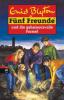 Fünf Freunde 25. Fünf Freunde und die geheimnisvolle Formel - Enid Blyton