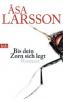 Bis dein Zorn sich legt - Åsa Larsson