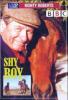 Shy Boy, 1 DVD - Monty Roberts