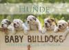 Postkartenbuch Hunde - Baby Bulldogs - 