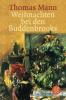 Weihnachten bei den Buddenbrooks. Großdruck - Thomas Mann