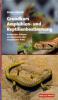 Grundkurs Amphibien- und Reptilienbestimmung - Dieter Glandt