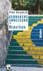 Gebrauchsanweisung für Brasilien - Peter Burghardt