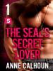 The SEAL's Secret Lover - Anne Calhoun