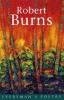 Selected Poems - Robert Burns