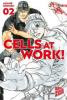 Cells at Work! 2 - Akane Shimizu